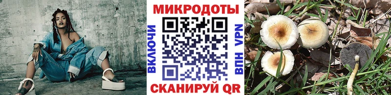маркетплейс клад  Котельники  Галлюциногенные грибы ЛСД 